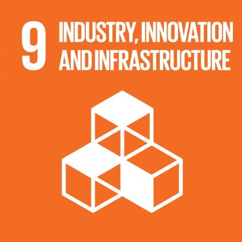 Industry Innovation and Infrastructure Icon